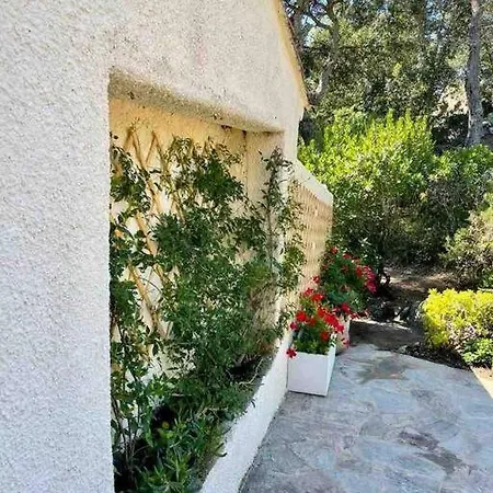 Dom wakacyjny Piana *