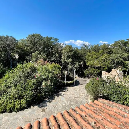 Piana